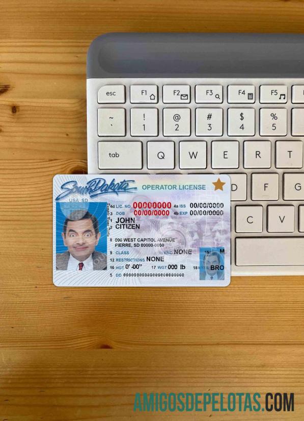 EUA Dakota do Sul DL fotovisual frontal baixar para verificação